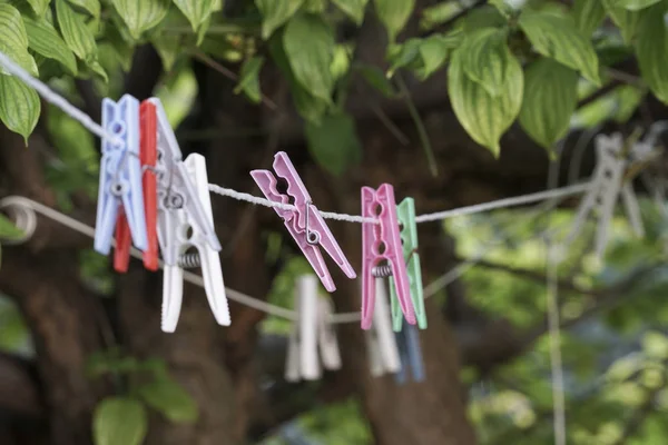Wäscheklammern an Seil im Garten aufgehängt — Stockfoto