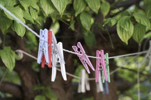 Wäscheklammern an Seil im Garten aufgehängt — Stockfoto