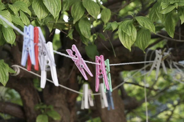 Wäscheklammern an Seil im Garten aufgehängt — Stockfoto