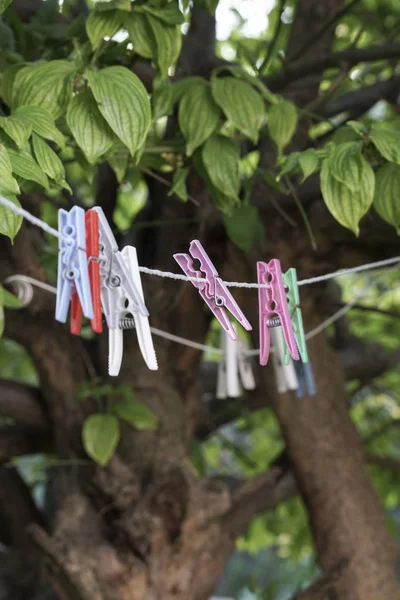 Wäscheklammern an Seil im Garten aufgehängt — Stockfoto