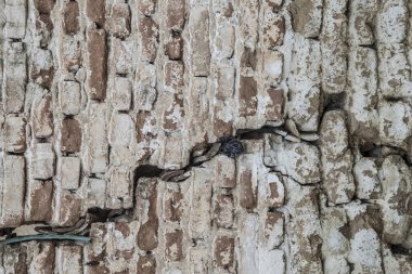 arka plan olarak tuğla duvar