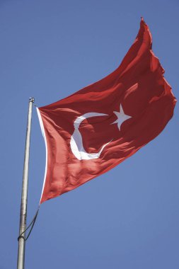 Türk bayrağı sallayarak