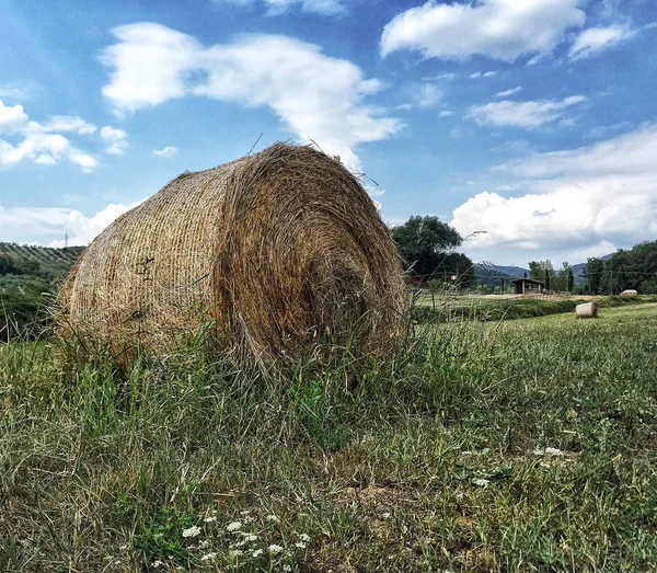 Pacas de paja en Toscana, Italia —  Fotos de Stock