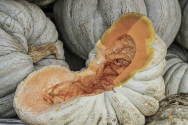 kabakları bir bakkal