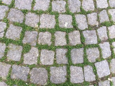 arka plan olarak parke taşı döşemesi