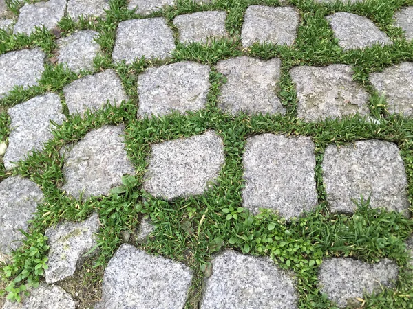 Kopfsteinpflaster als Hintergrund — Stockfoto