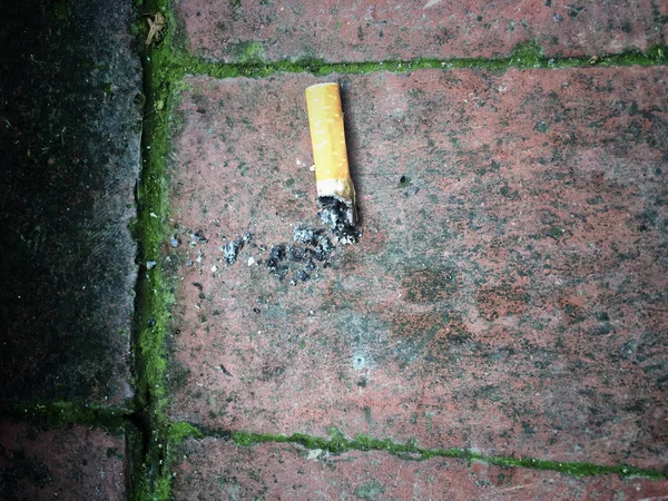 Mégot de cigarette au sol — Photo