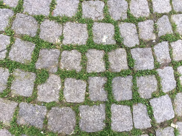 arka plan olarak parke taşı döşemesi