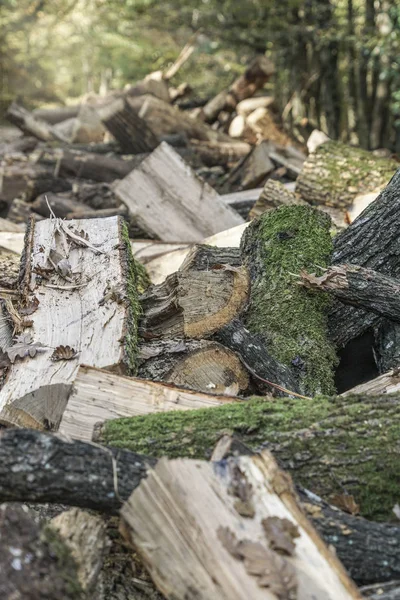 Hromada dřevěných hranolů jako pozadí — Stock fotografie