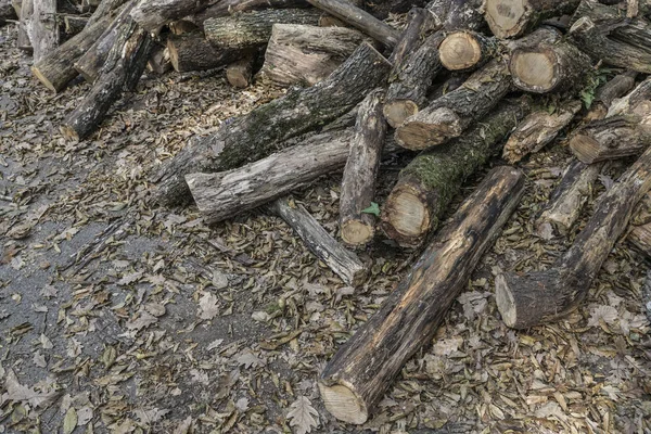 Σωρός από ξύλινα κούτσουρα ως φόντο — Φωτογραφία Αρχείου
