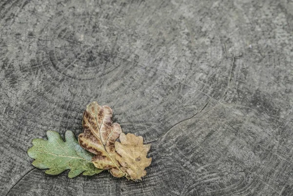 Sušený podzimní listí na dřevěné pozadí — Stock fotografie