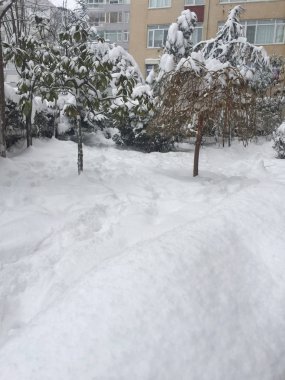 Kışın kar altında Bahçe