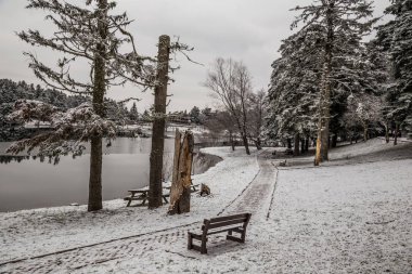 Bir park göl kış zamanında kar altında boş bir tezgah