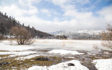 Bir buzlu göl kışın güzel gökyüzü altında ağacında
