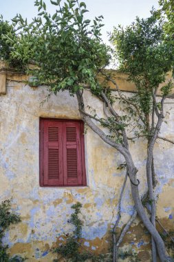 Eski bir bina bitki tarafından çevrili kapalı pencere kör