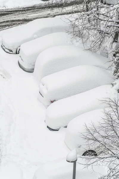 Cars Covered Snow Parking Lot Residential Area Winter Snowfall — Stock Photo, Image