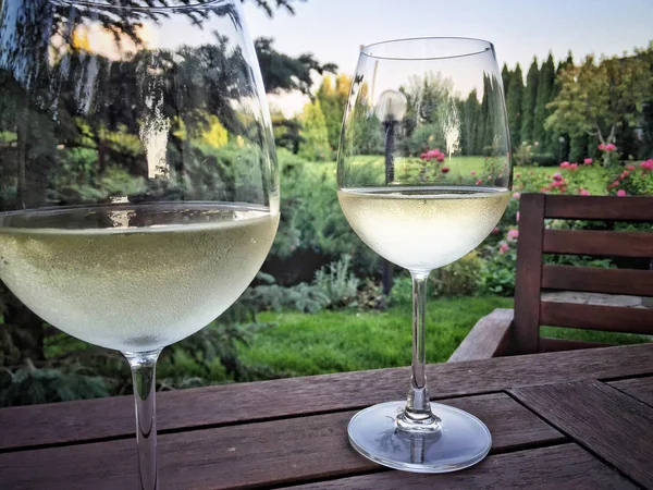 Wine Glasses Wooden Table Garden Summer — Stock Photo, Image