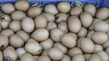 Kirli tavuk yumurta bir çiftçi pazarda Satılık