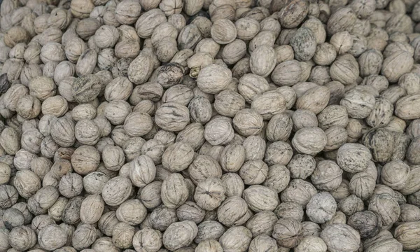 Shelled Walnuts Background — Stock Photo, Image