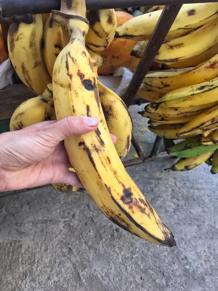 Female Hand Holding Big Banana — Stock Photo, Image