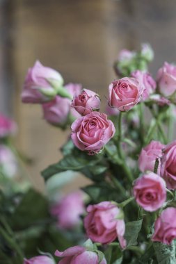 Arkaplan olarak pembe güller