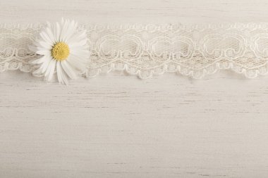 Ahşap arka planda papatya çiçeği