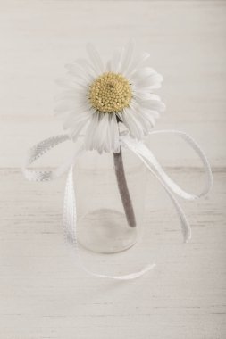 ahşap arka plan üzerinde bir vazoda papatya çiçek