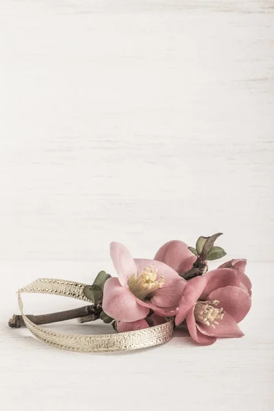 Lente bloemen op houten achtergrond — Stockfoto