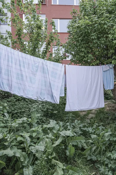 Opgehangen Natte Kleren Tuin Van Een Gebouw — Stockfoto