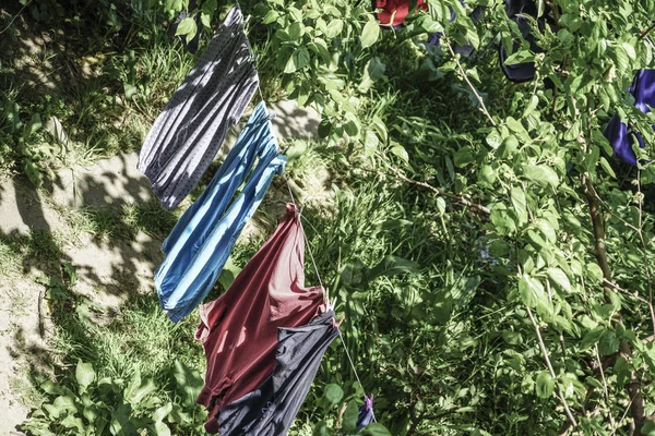 Bunte Kleidungsstücke Zum Trocknen Garten — Stockfoto