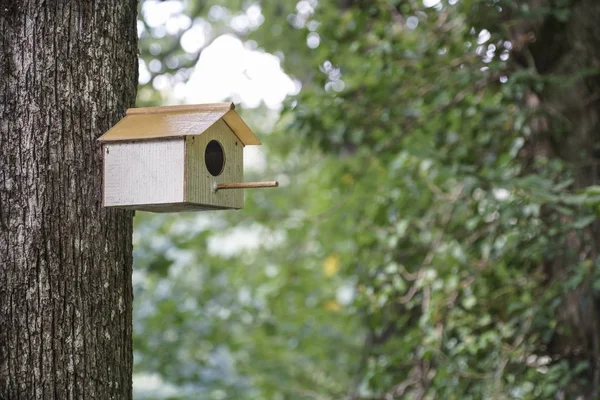 Vogelhuisje op boom in het bos — Stockfoto