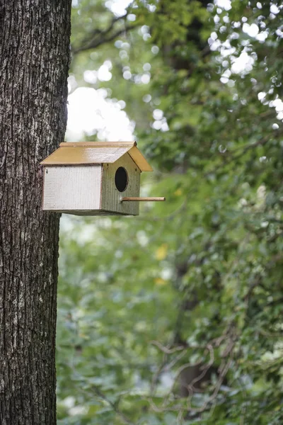 Pequena casa de pássaro na árvore na floresta — Fotografia de Stock