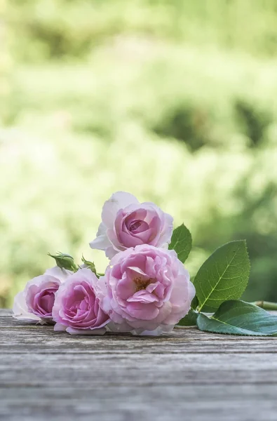 Yeşil arka plana karşı ahşap bir masa üzerinde pembe güller — Stok fotoğraf