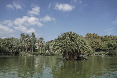 Gölde Park de la Ciutadella Barcelona, İspanya.