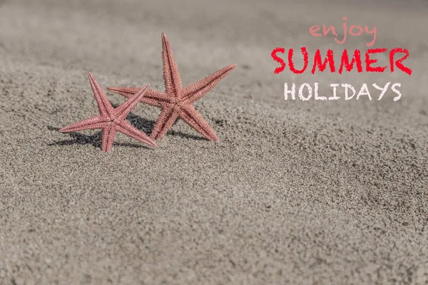 Plantilla de verano con estrellas de mar en una playa de arena — Foto de Stock