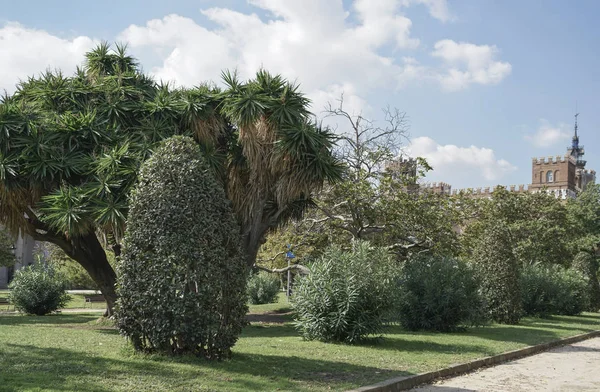 Parque en España durante el verano —  Fotos de Stock