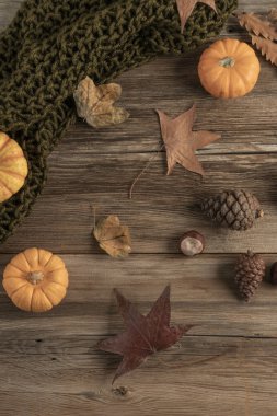 Balkabağı ve kurumuş sonbahar yapraklarıyla süslenmiş ahşap masa.