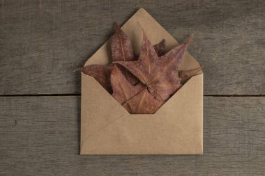 Kurumuş sonbahar yapraklarıyla süslenmiş ahşap bir masanın üzerindeki zarf.