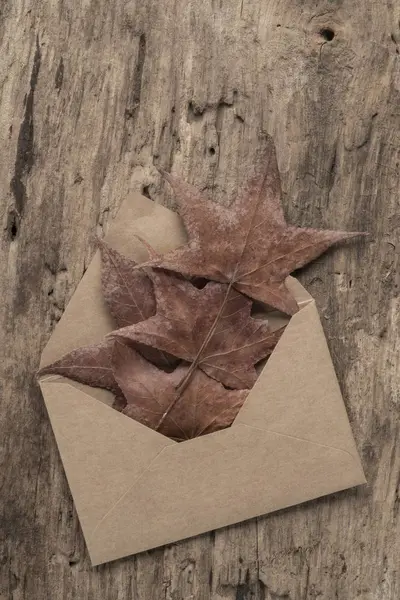 Enveloppe sur une table en bois ornée de feuilles d'automne séchées — Photo
