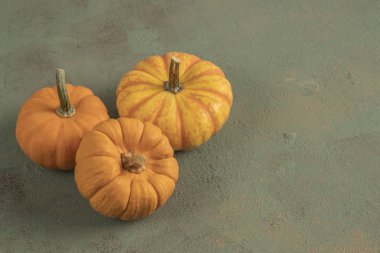 Yeşil üzerine küçük olgun balkabakları kopyalama alanı