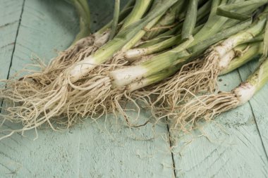 Tahta masada bir demet taze soğan