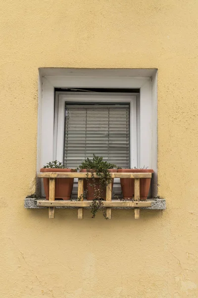 Blomkrukor framför fönstret i ett hus — Stockfoto