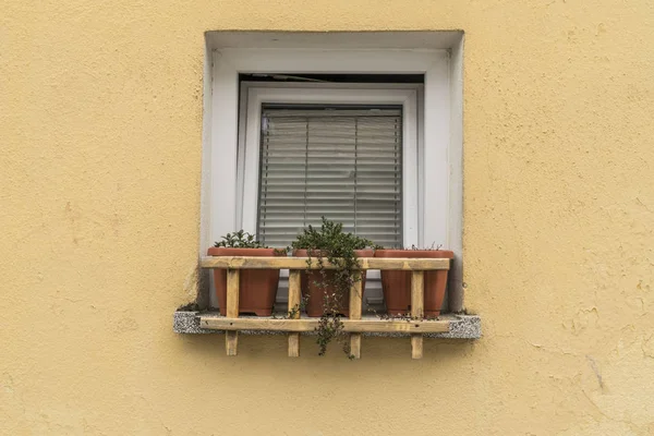 Sarı bir evin penceresinin önündeki saksılar — Stok fotoğraf