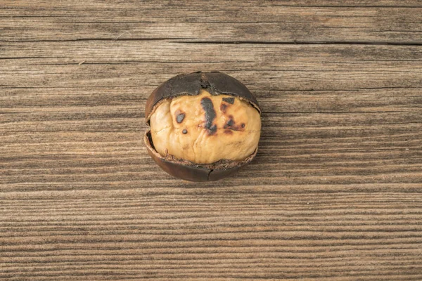 Primer plano un castaño asado sobre una mesa de madera — Foto de Stock