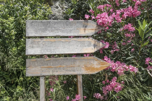 Közeli Üres Irányjelző Táblák Egy Parkban — Stock Fotó