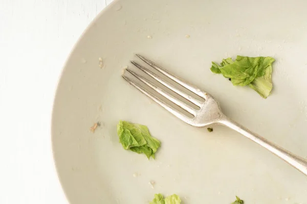 Ételmaradékok Piszkos Tányéron Vegán Ebéd Vacsora Vagy Reggeli Után Kész — Stock Fotó