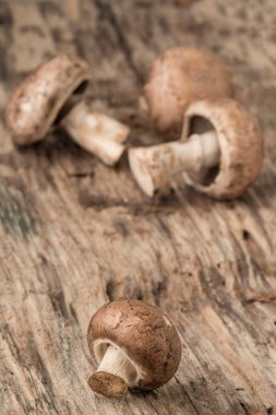 Ahşap bir masada yenebilir çiğ mantar yakın çekim