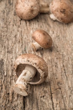 Ahşap bir masada yenebilir çiğ mantar yakın çekim
