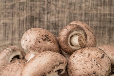 Ahşap bir masada yenebilir çiğ mantar yakın çekim