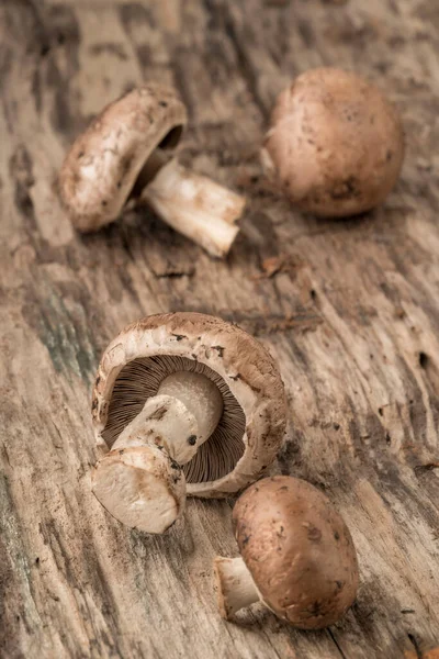 Detailní Záběr Kultivovaných Jedlých Syrových Hub Dřevěném Stole — Stock fotografie